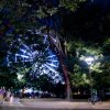_igp6335